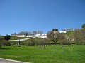 Mackinaw Island Area May 2008 0769